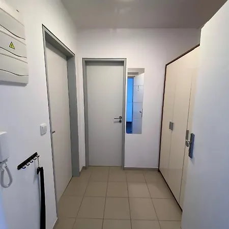 Miky Apartman Klinovec Meadow Loucna pod Klinovcem Exterior photo