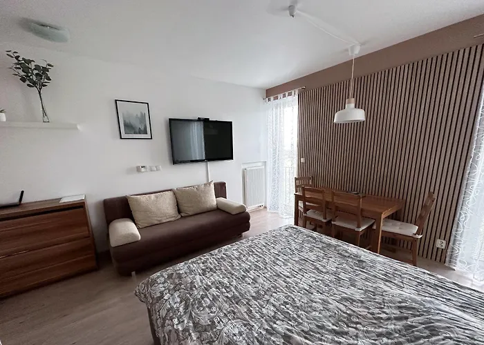 Miky Apartman Klinovec Meadow