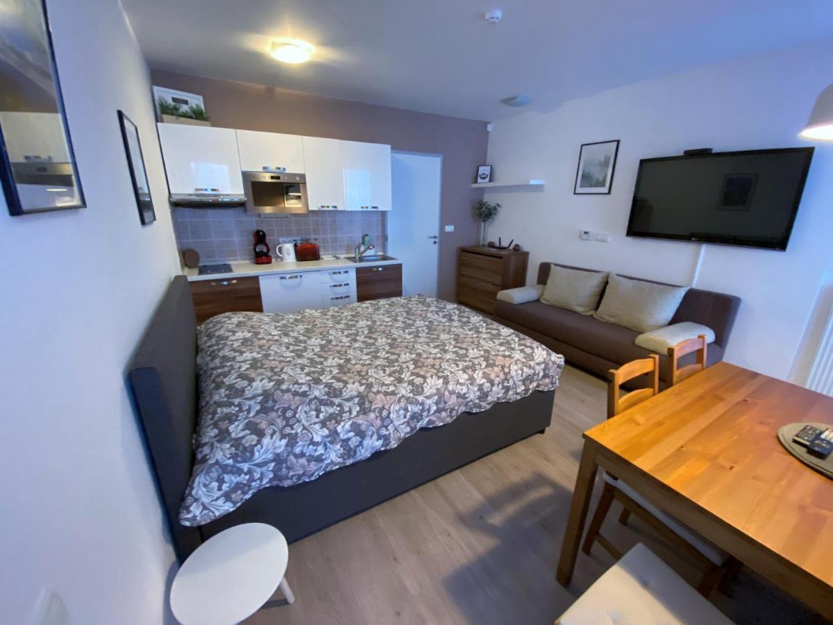Miky Klinovec Meadow Apartment Loucna pod Klinovcem